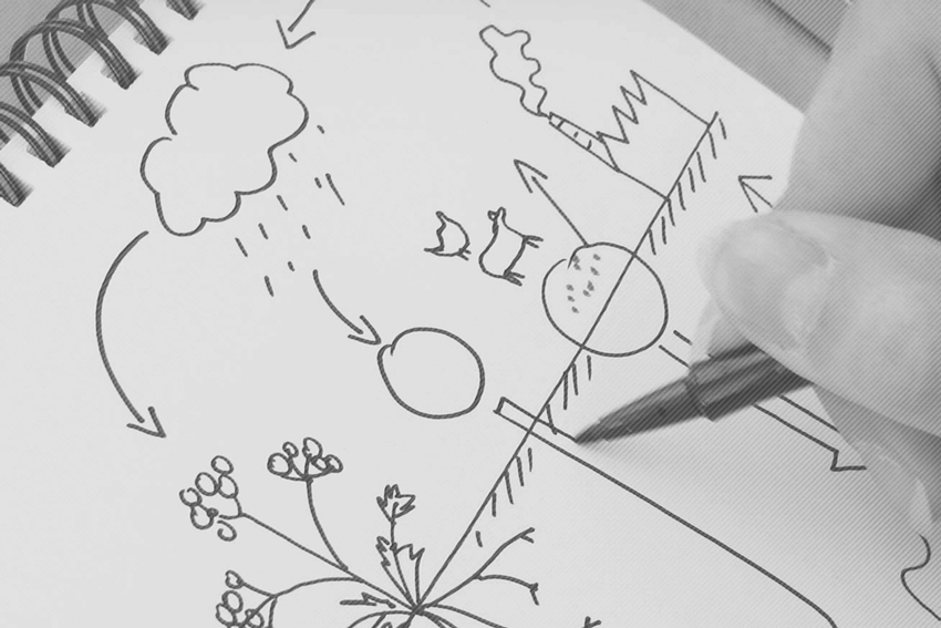 animations