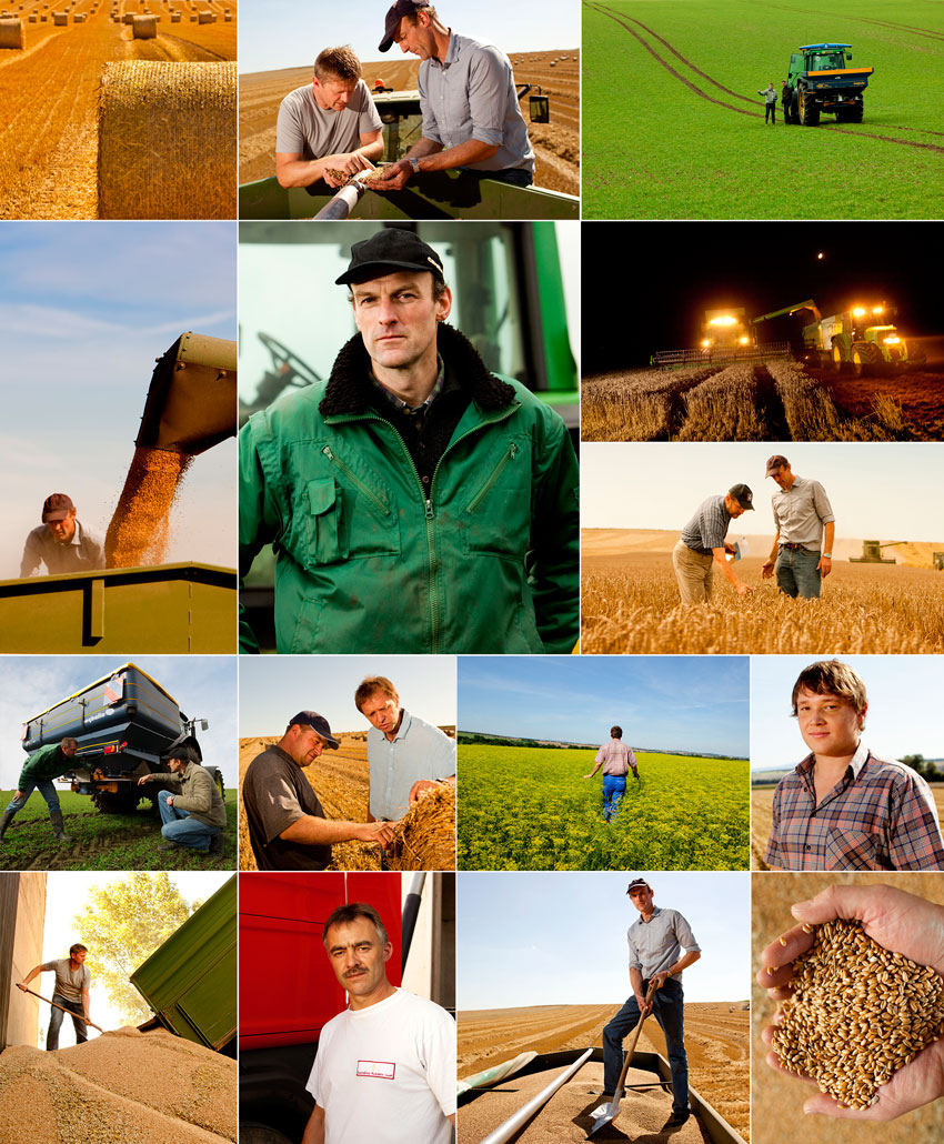 pure nutrient photos